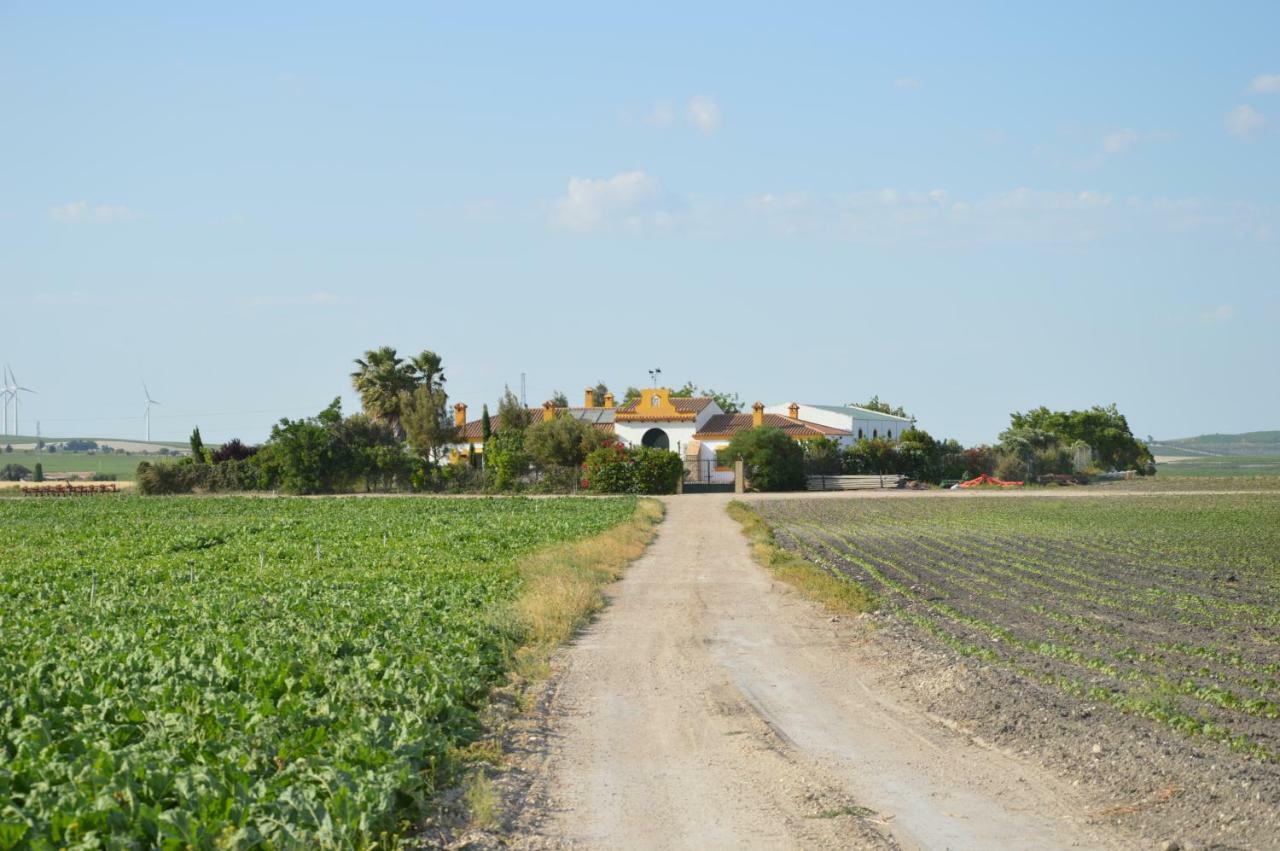 Cortijo Las Manoteras El Puerto de Santa Maria Ngoại thất bức ảnh